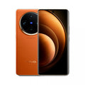 VIVO X100